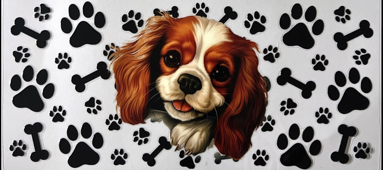 #2 puppy