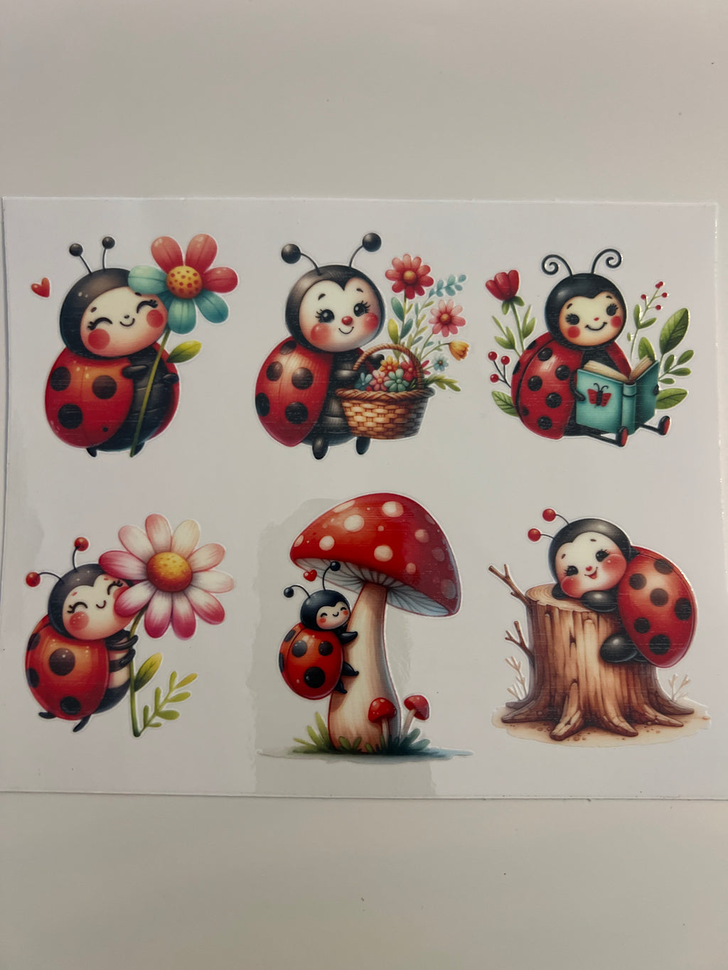 #B5 Ladybugs Swipe Left