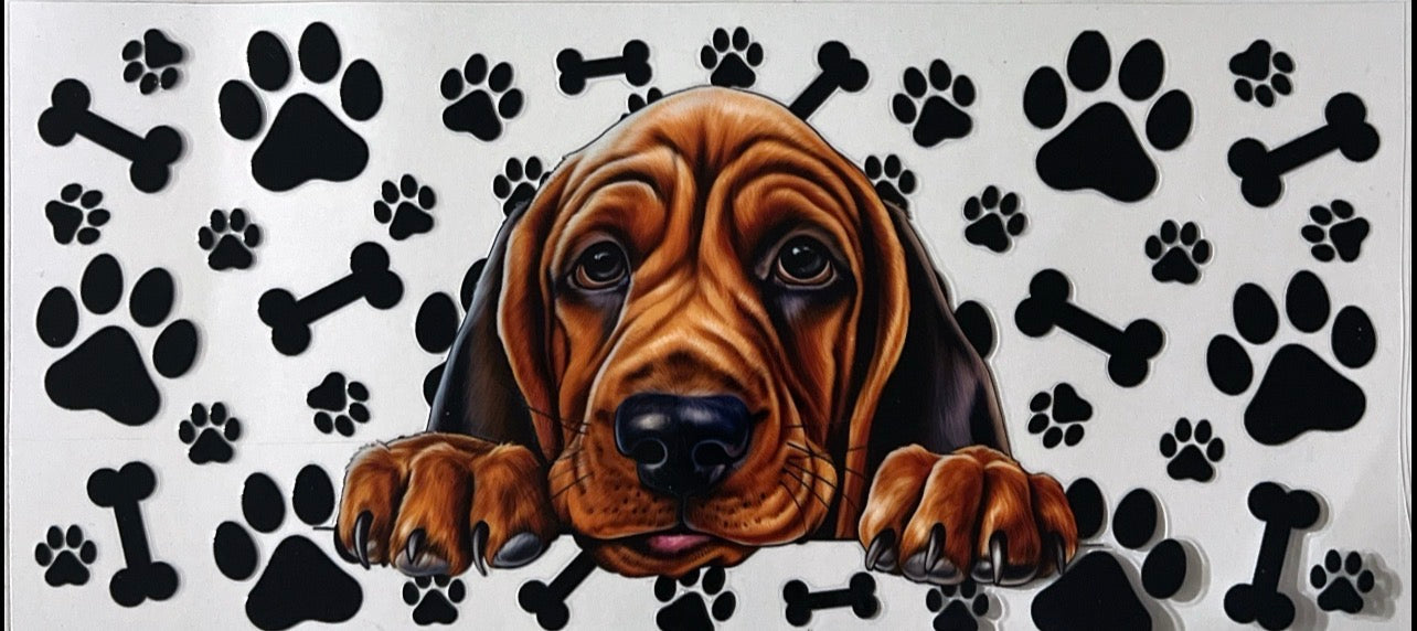 #4 Puppy
