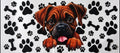 #5 Puppy