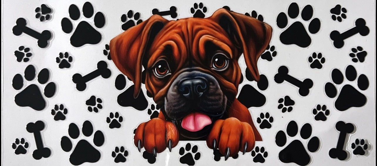 #5 Puppy