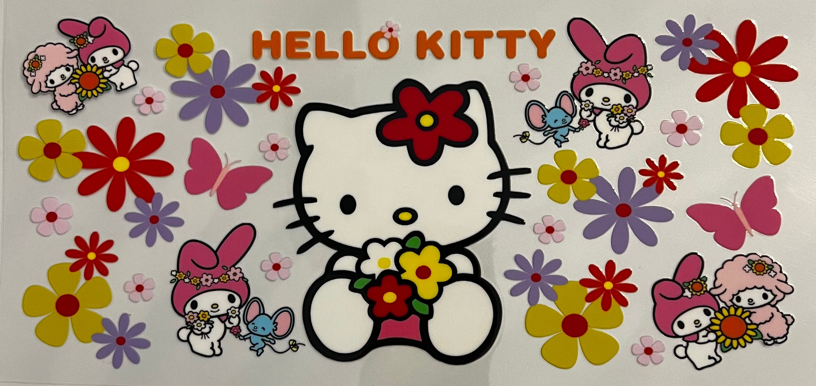 #B30 Hello Kitty Swipe Left