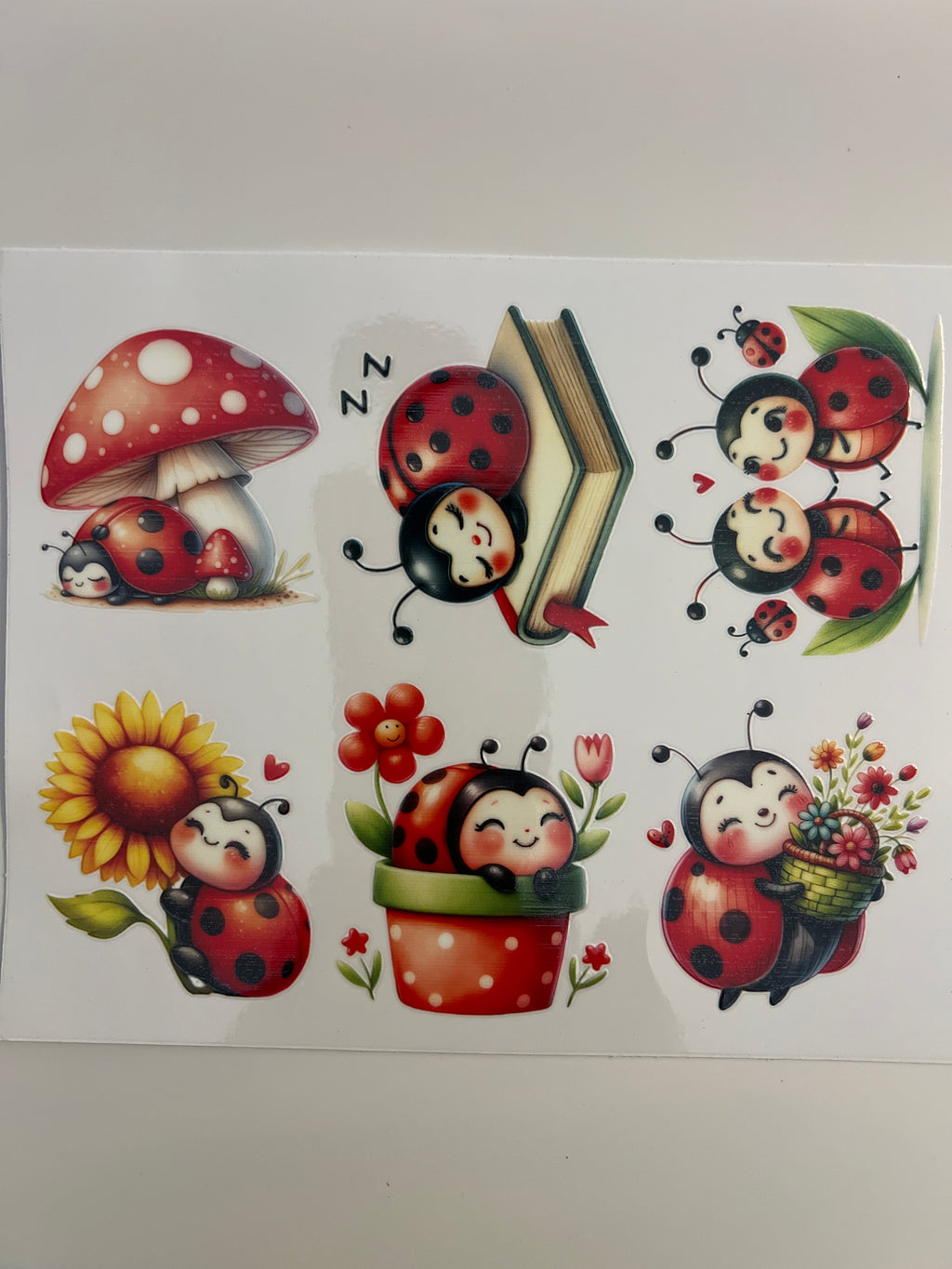 #B5 Ladybugs Swipe Left