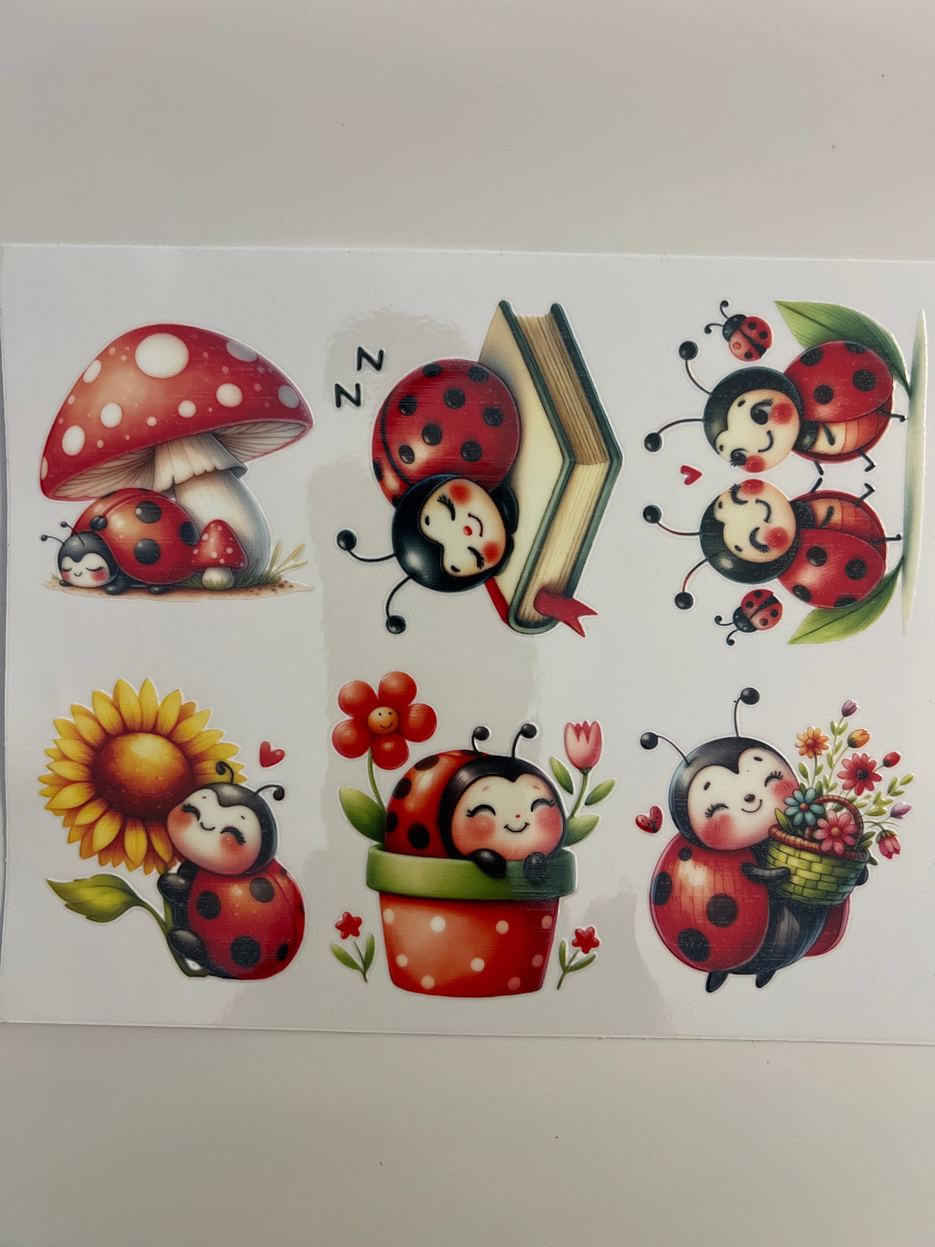 #B5 Ladybugs Swipe Left