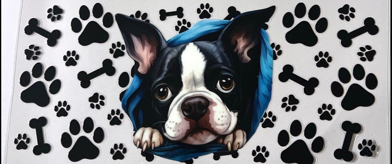 #5 Puppy