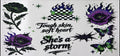 #She's a Storm